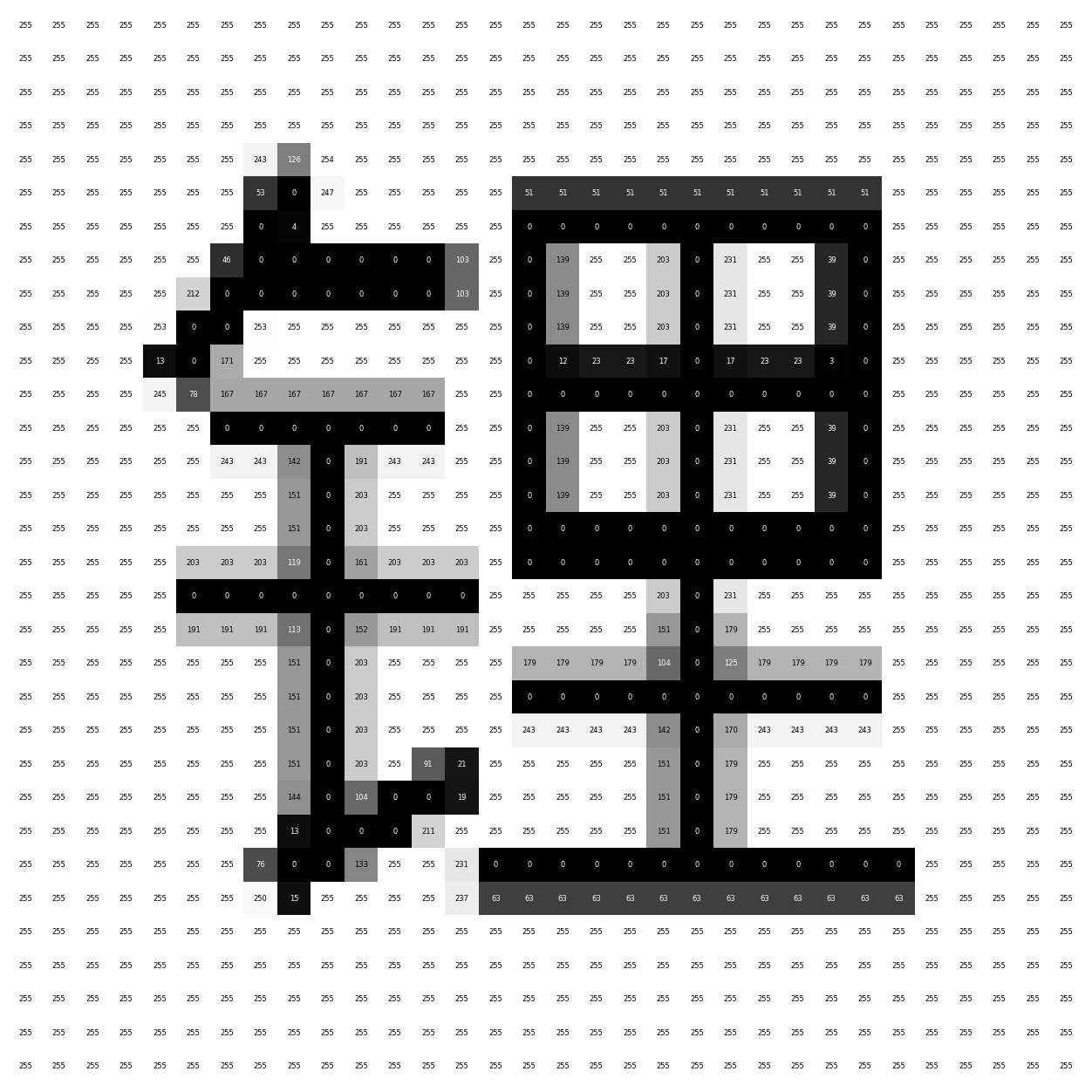 An example glyph with pixel values labelled (downsampled to 32 × 32 pixels for readability).